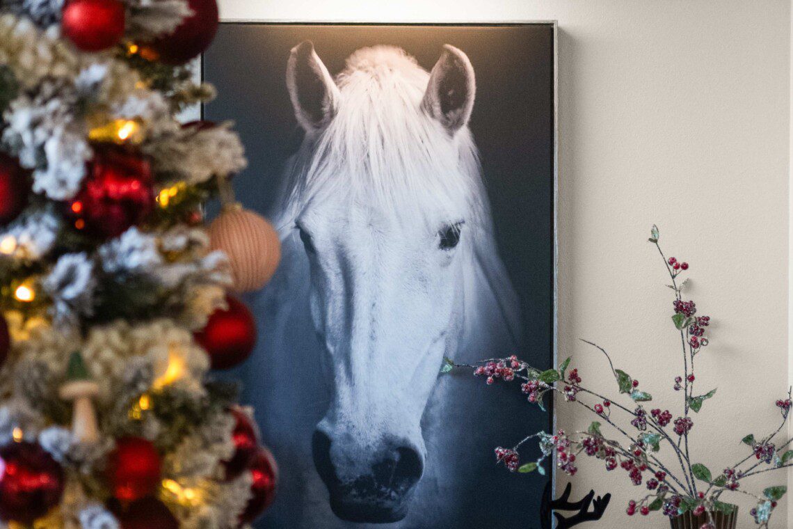 ysefoiagvpq5bueov0xm