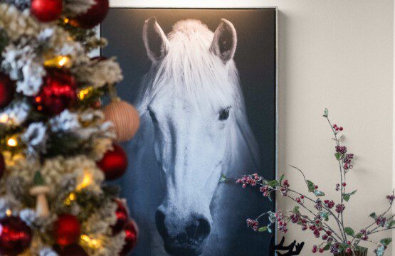 ysefoiagvpq5bueov0xm